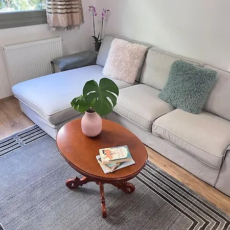 Apartamento D & X *