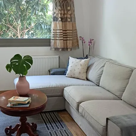 Apartamento D & X *